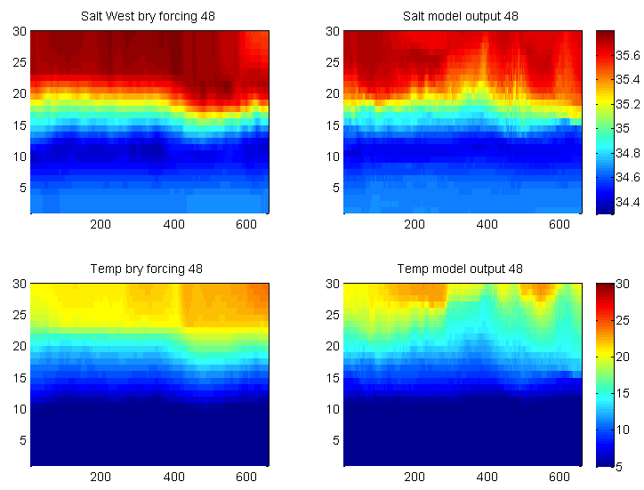 Comparison between salinity and temperature forcing and model output