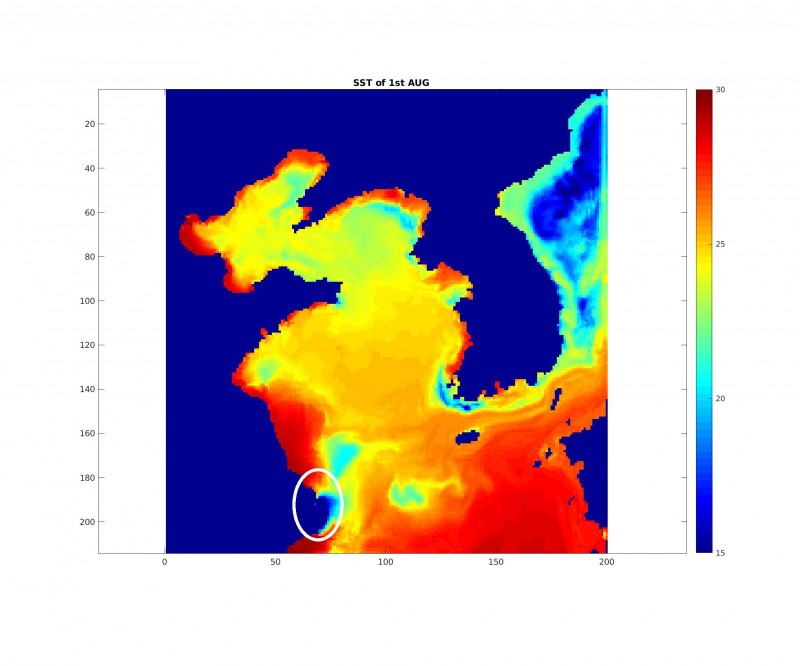 SST of 1st Aug.jpg