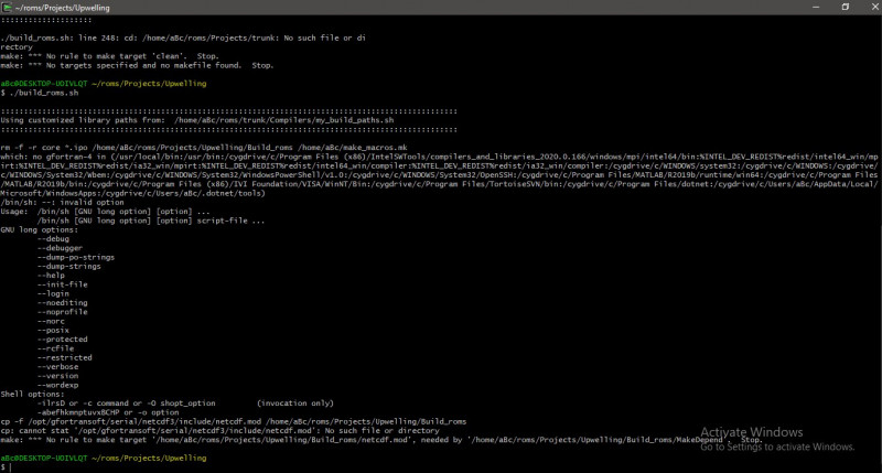 error_cygwin_terminal.jpg