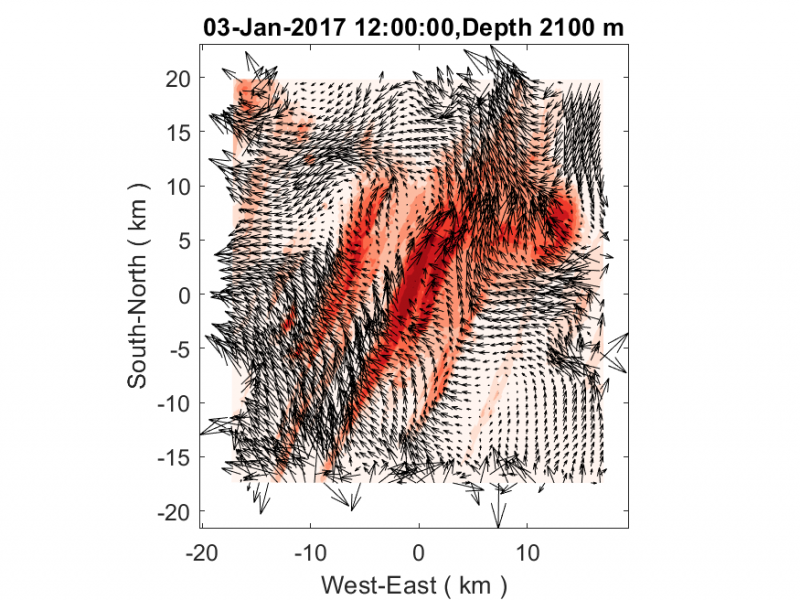 vel_vec_fine_grid_two_way.png