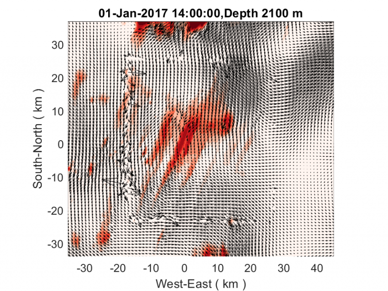 vel_vec_2100m_coarse_grid_two_way.png