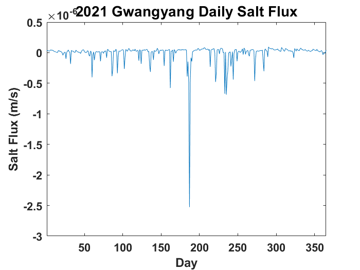 2021gwangyang_Salt_Flux_daily.png