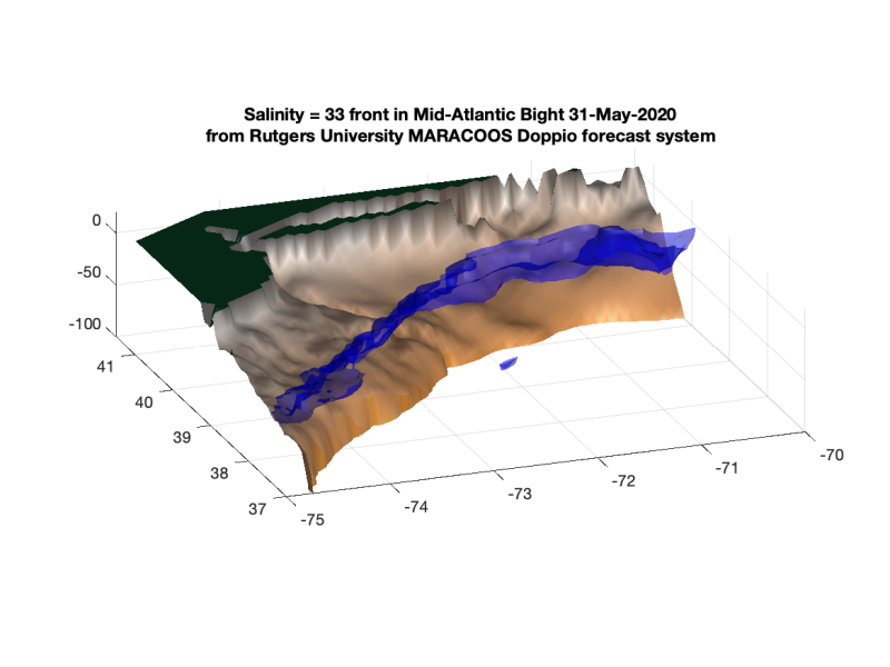 doppio_salinity_front_isosurface.png