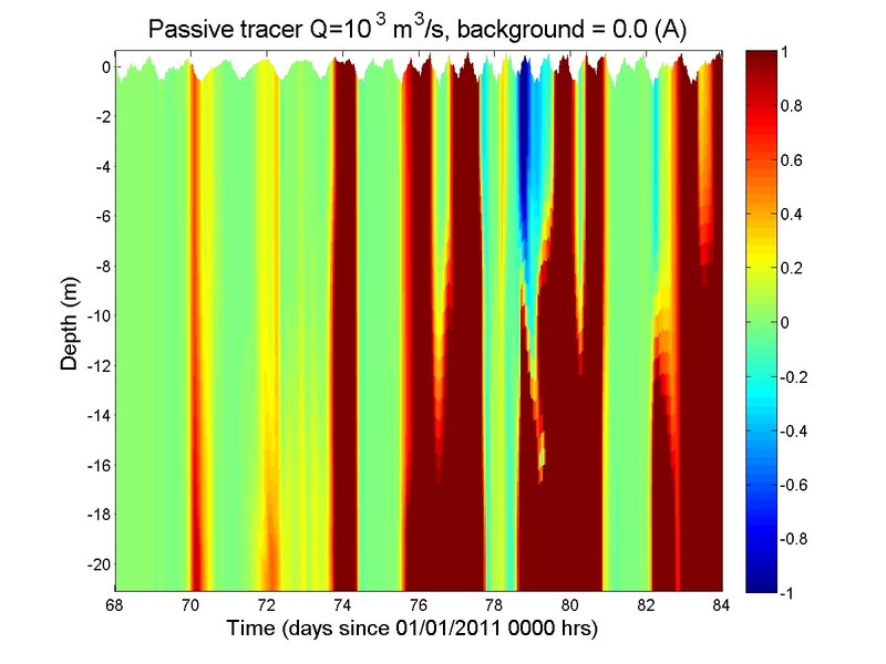 Figure 2.  Hovmoller plot for river transport = 1000 m3/s and Vshape = 1/Nz.