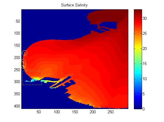 the dashed rectangle is a river and small ellipse are outflows