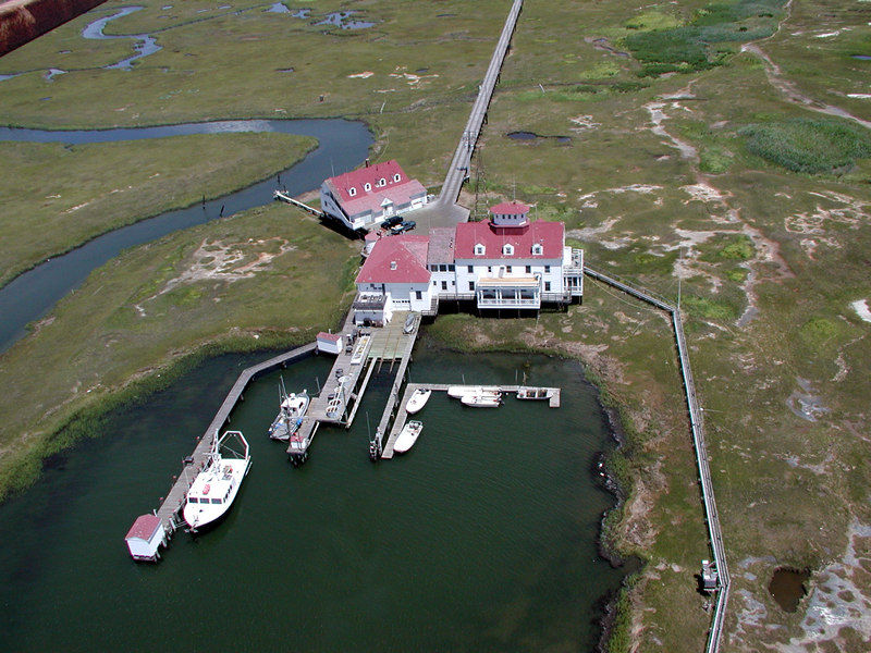 Tuckerton field station
