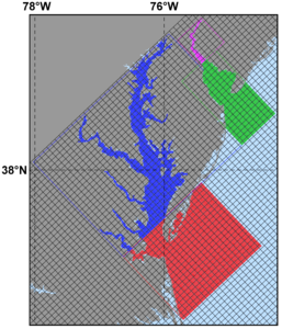 Closer look at Delaware and Chesapeake Estuary grids